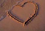 Te Amo
